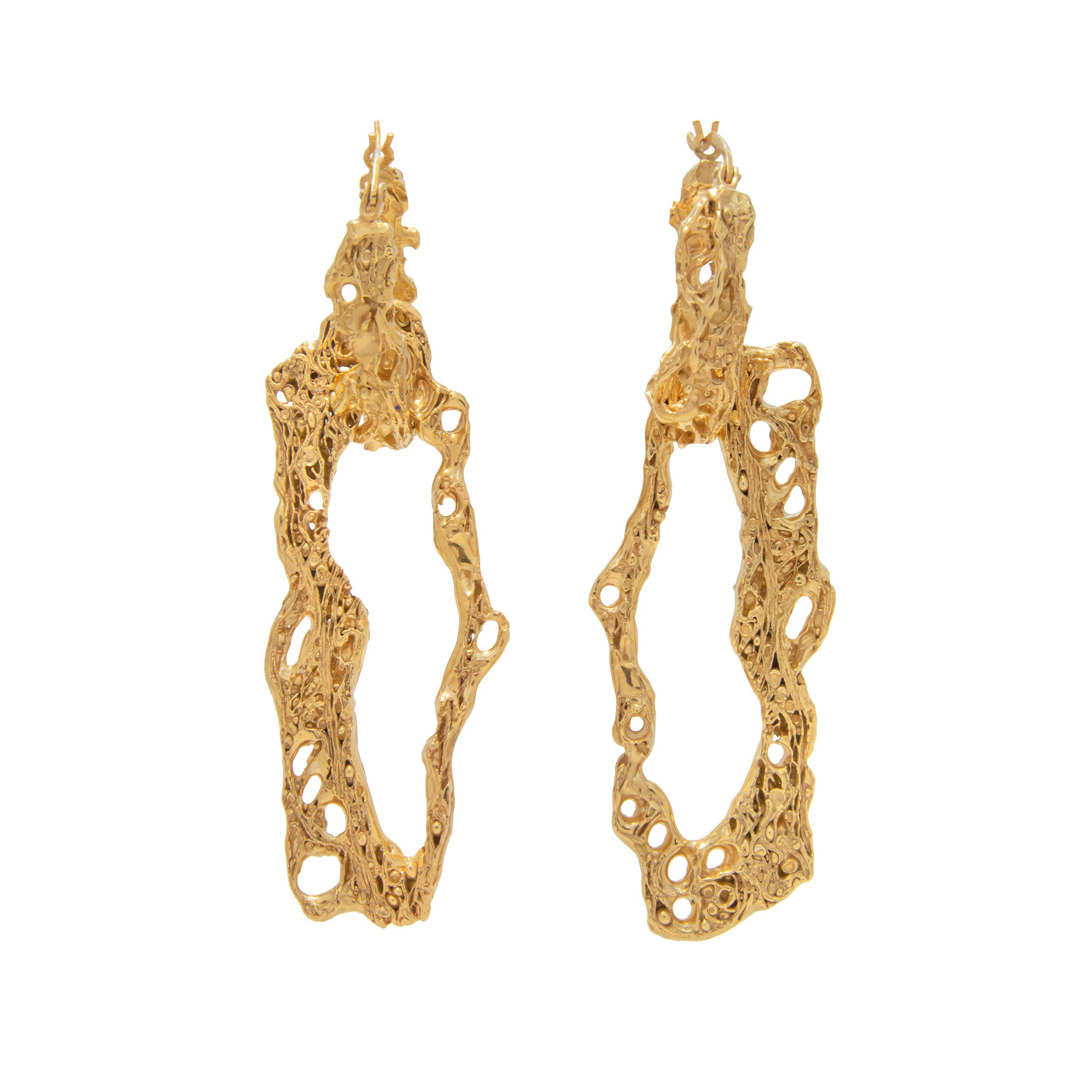 Espostoa Gold Earrings