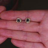 Nima Sapphire Recycled Gold Earrings